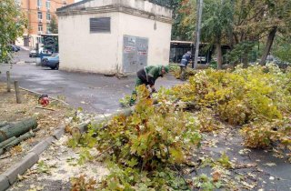 � ������ ����� ������� ������� ��������