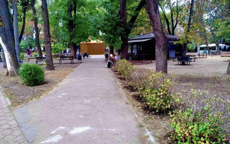 �������� ������������� ������ ��������������� ������������� �����