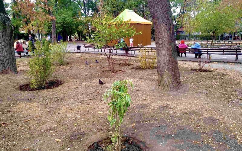 �������� ������������� ������ ��������������� ������������� �����