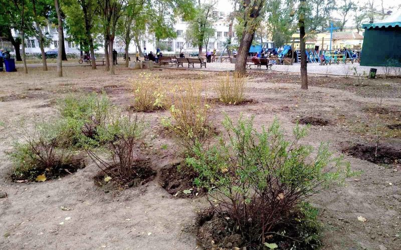 �������� ������������� ������ ��������������� ������������� �����