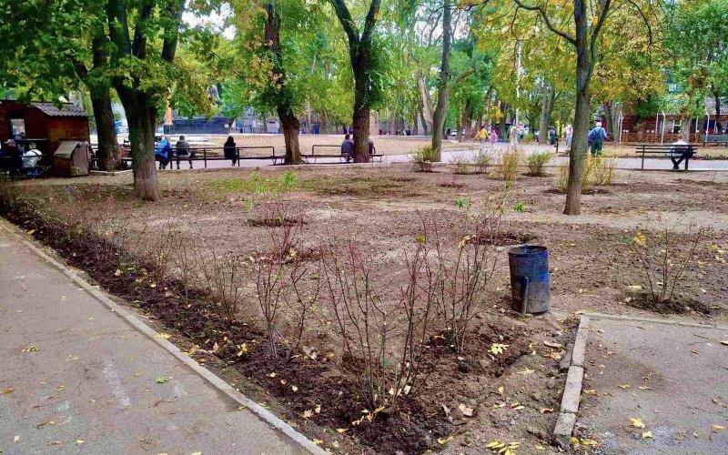 �������� ������������� ������ ��������������� ������������� �����