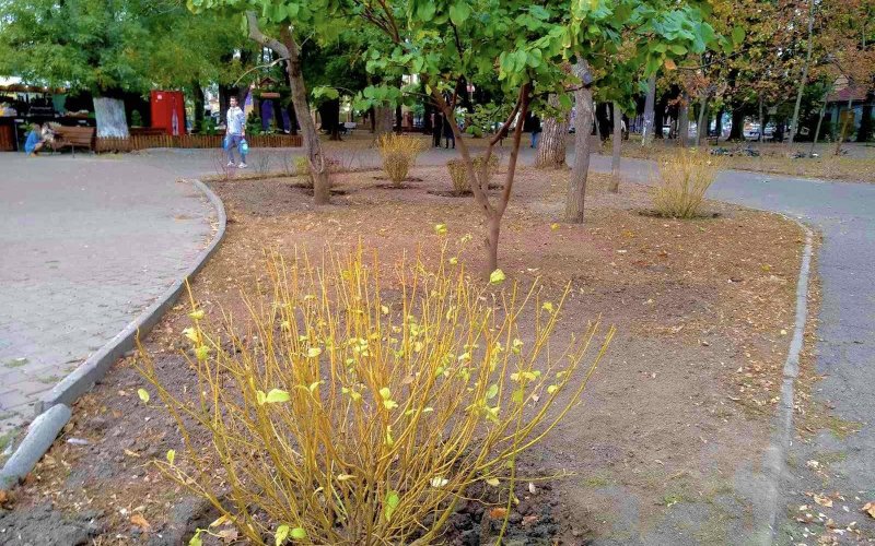 �������� ������������� ������ ��������������� ������������� �����