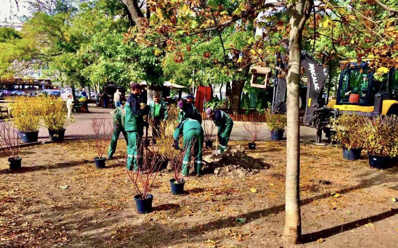 �������� ������������� ������ ��������������� ������������� �����