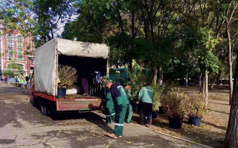 �������� ������������� ������ ��������������� ������������� �����