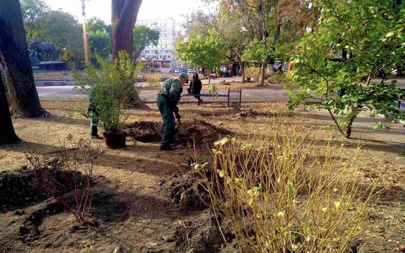 �������� ������������� ������ ��������������� ������������� �����