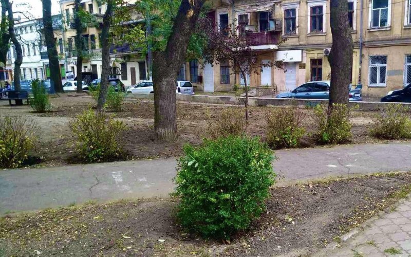 �������� ������������� ������ ��������������� ������������� �����