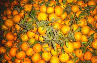 � ������ ����� ������� ������� ������ ����������