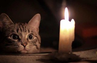 ����� ������ ��������� ��� ����� �� ������