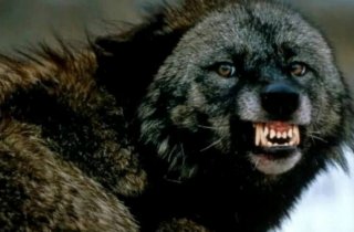 � �������� ������� ����� ������������ ����� ������ ��������