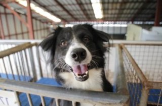 � �������� ������� �������� ����� ��� ��������� ��������