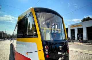 � ������ ���� �������� ���������������� ������� ����� 37 ��������� ����������