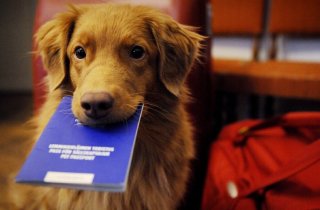 � ������� �������� ������ ��������������� ������ �������� ��������: ����� ����������� ��� ���������� ��������