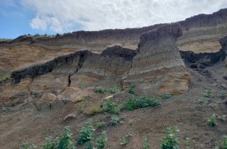 ���������� ��������� ������ ��� �������: �� ��������� ��������� ��������