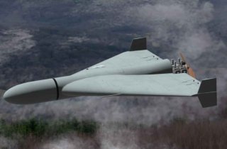 � ���������-������������ ����� �������� ������� ������ �������������� � ������� ����������� ����