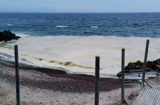 ����� ������ ����� � ����� �� �������� ������ ������ �����: ������� ������ � ������