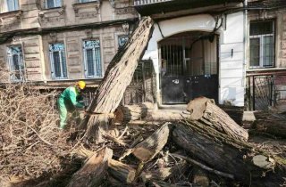 � ������ ���������� ��������� ������� ����: ����� ������ �� 2025 ���