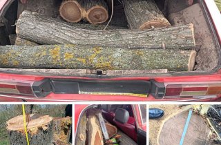 � �������� ������� ������� ���������� ������� ����� �� ������� ����� ������