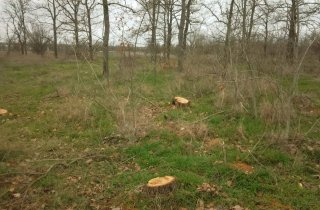 ����� 50 �������� ��������� ���������� �� ���������� �������� � �������� �������