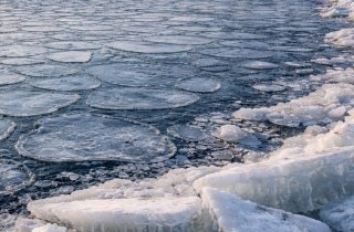 �������� ��������� ����� ������������� ������� ���� � ���������