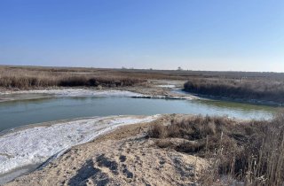 ������� ���� � ����������� �������� ������ ������ ����� ������