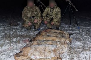 ������������ �������� � ������ ���������� ������ ����� � �������� �������