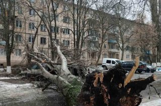 � ������ ����������� ����������� �������� ����� ������ ����������