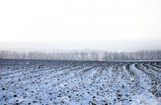 ������������ �����: 10 �������� ������� ����� ������ ���� �������� � �����������