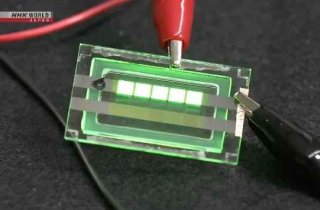 ������ �� ������ ������� OLED-�������, ������� ������������ �������� � ������������ �������������