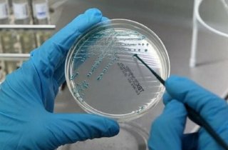 ������ ������������ � ����� ����� �������� �������� � �������� ������� ��-�� ������� � �������������� � �����