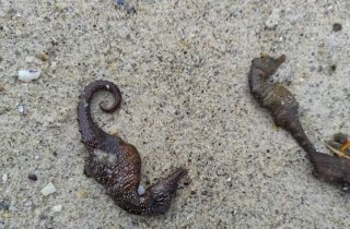 ������ ���������: ����� � ������ ������������� ������� � ������ � ��� ������������� � ������ ���������������