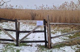 � �������� �������� ������� ��������� ���������� � ������������ ���������.