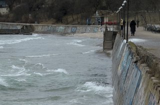 ������ ����� �������� ���������� ���� ������ �� ������� �������