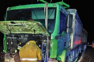 ��� ������� �� ������ �������� �������� ����������