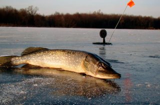 � 15 ������� �� ���������� ����� ���� ������ ����� ����� 3 ����� ������