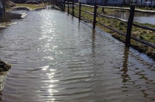 ���� ������������ � �����: � �������� ������� ��������� �����������