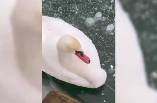 ������������ �� ���� �������� ���������� �� ������� ������� ������������� ������