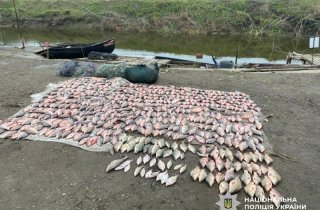 �� ������ ��������� ������ ��������� ����������� � ������ �� 2 ��� ������