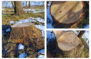 ��� ����������-������������ ���������� �������� 33 ������ �� 860 ����� ������