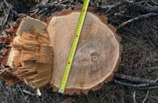 ��� ������� ��������� �������� 66 �������� � �������� ����������: ����� ����� ������������ ������