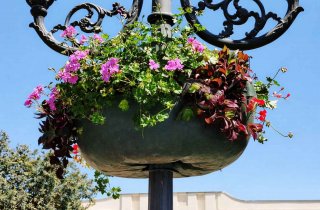 �������������� ������� ������� �� ��������������� ������� ��� ������