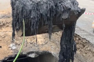 ��������� �����������: � ������ ��� ������ ����������� ����� � �������������