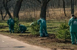 �� ��������� �� �������: �������� ������ �������� �������� �������