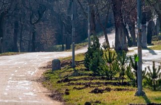 �� ��������� �� �������: �������� ������ �������� �������� �������