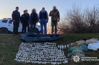 ���������� ����� ���� � �������� ������� ���������� ��������� �����