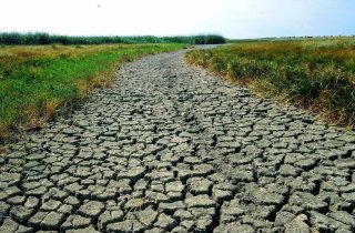 � ������� ������ ������� ���� � ������� ���� �������