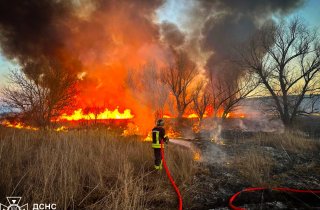 ����� �������� ������: � �������� ������� ���������� ������ ����� �����