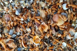 ����� ����� �� ����� �������� ��������� ���������� ����