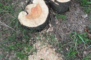 �� ������� ���� �������� ��������� ����� ����� 100 �����