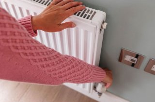 ������������ ����� �� ������: ������ ���� ����