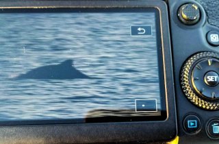 � �������� ���������� ������ ���������� ���� ���������